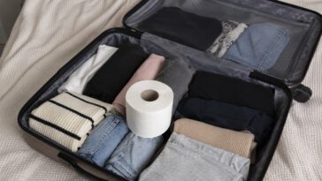 Iskusni putnici uvek stave rolnu toalet papira u kofer, evo i zašto