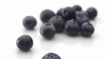 Zamrzavanje voća i povrća: Da maline, borovnice i tikvice sačuvaju letnju svežinu cele godine