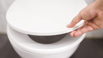 Evo zašto bi trebalo da imamo daske za WC šolju u obliku slova U