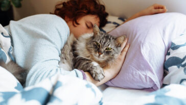 Vaša mačka svake noći spava u vašem krevetu? Veterinari objašnjavaju šta to znači i da li je dobro po vas