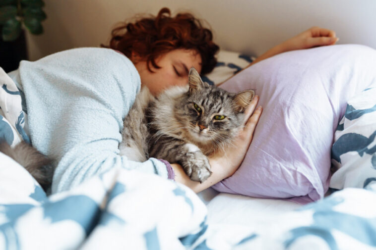 Vaša mačka svake noći spava u vašem krevetu? Veterinari objašnjavaju šta to znači i da li je dobro po vas Vaša mačka svake noći spava u vašem krevetu? Veterinari objašnjavaju šta to znači i da li je dobro po vas