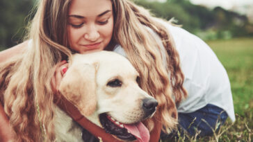 8 najodanijih rasa pasa: Koji psi se najviše vezuju za vlasnika